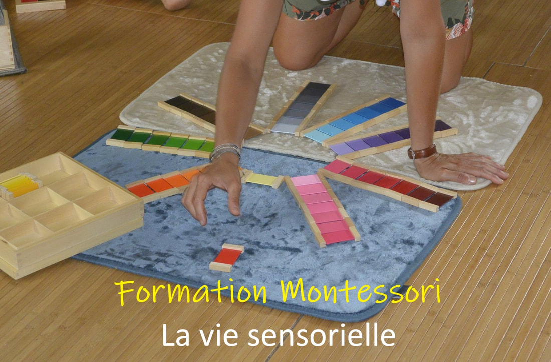 Image Formation Montessori Vie sensorielle
